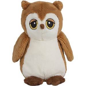 First Cuddly Owl